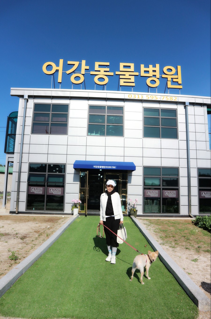 어강 이미지