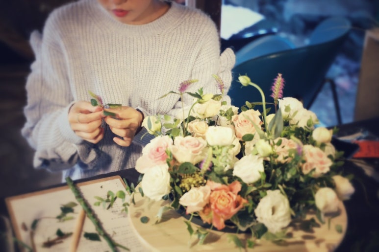 미레이나 이미지