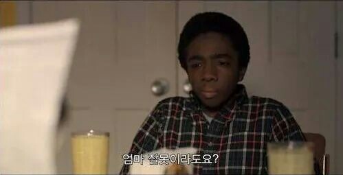 루나프로젝트 이미지