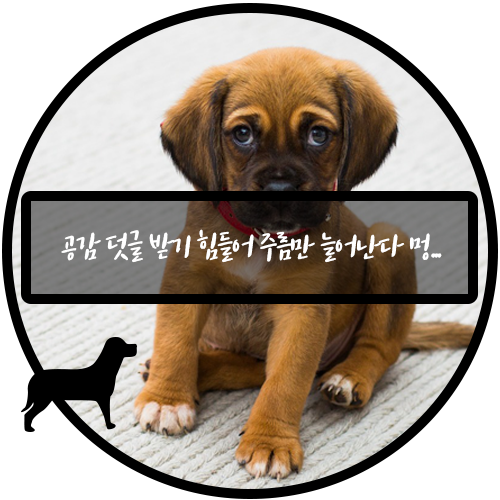 킹아로마 이미지