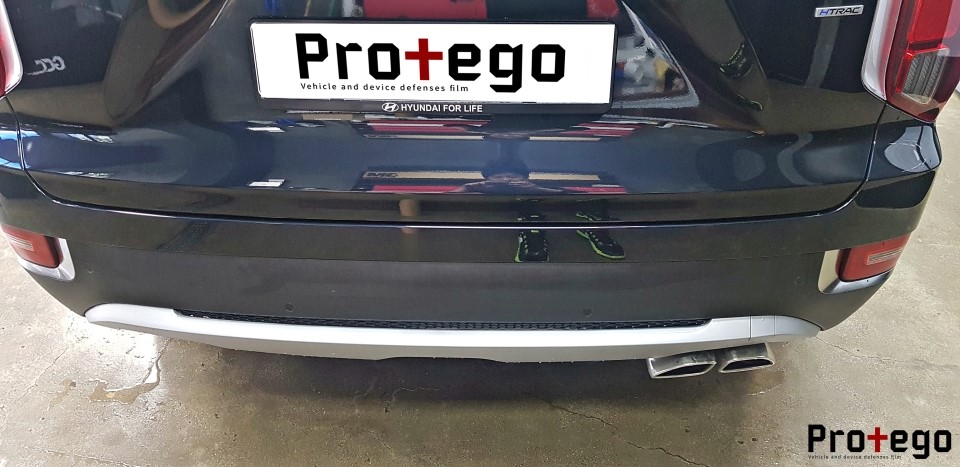 프로테고 이미지