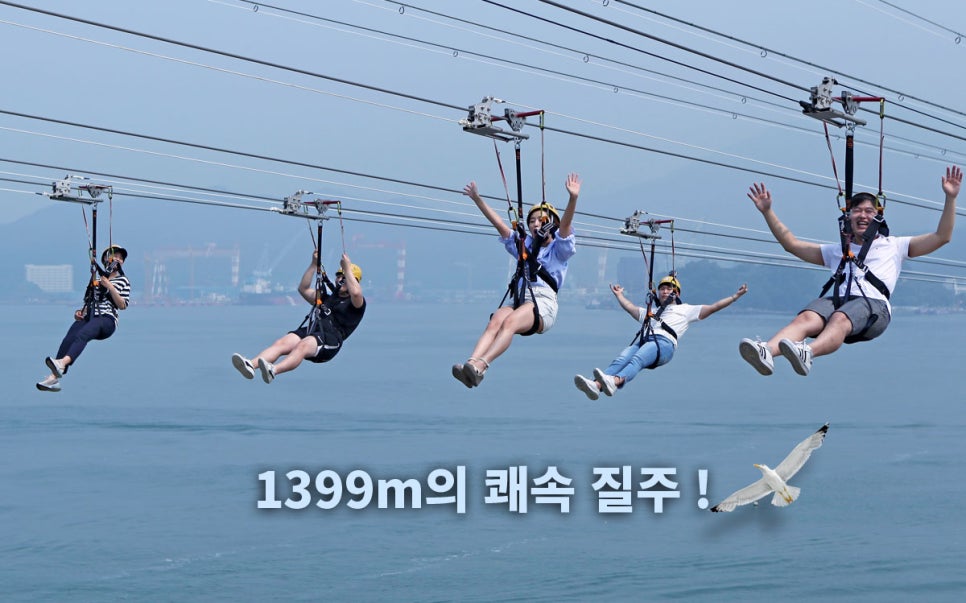 짚트랙 이미지