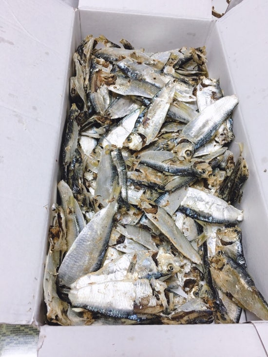 삼천포전통건어물 이미지