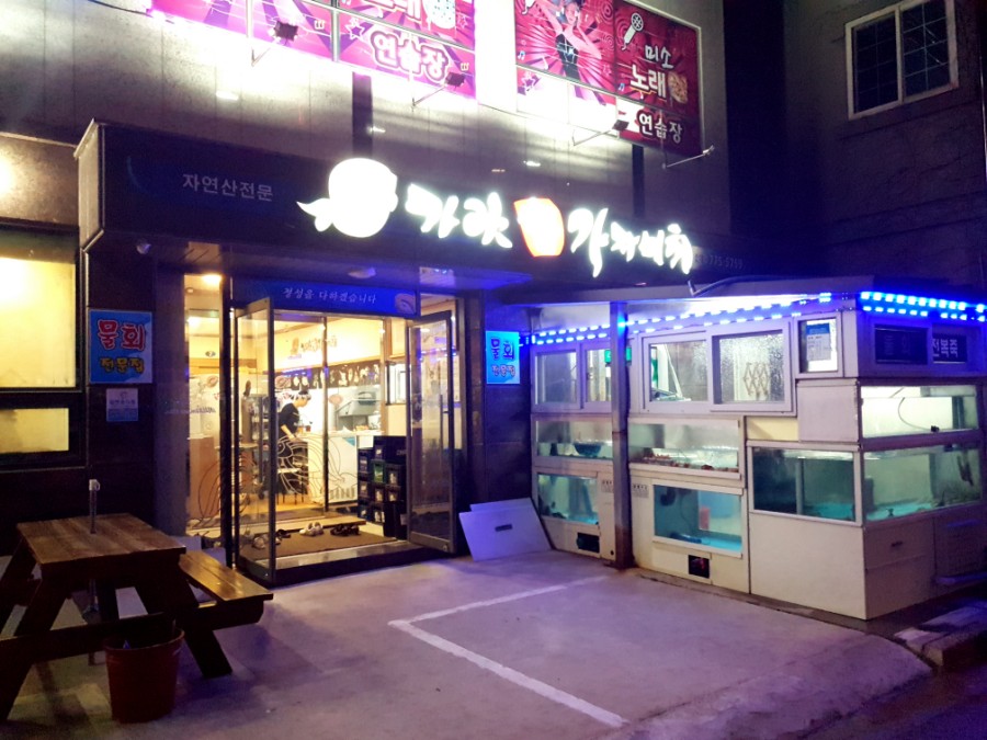 가야참가자미회 이미지