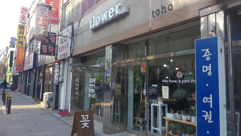 토호플라워 이미지