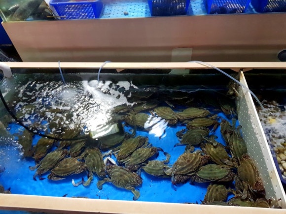 수산물판매장광동호 이미지