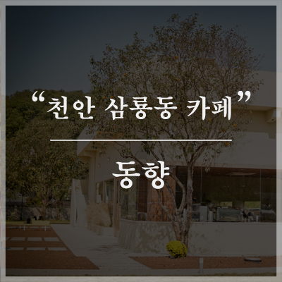 창고구공 이미지
