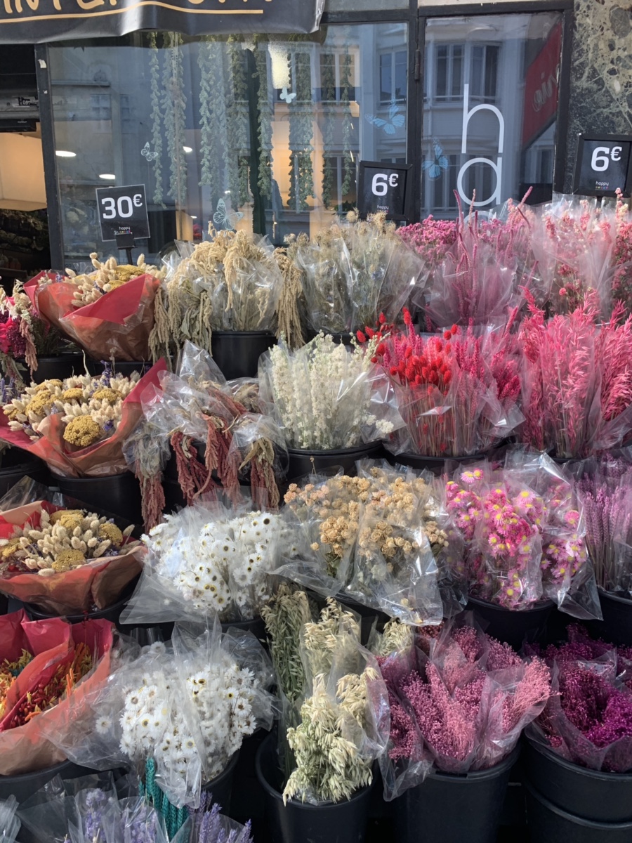 마카롱마레 이미지