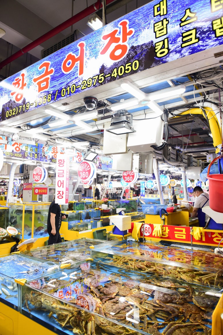 찰지당 이미지