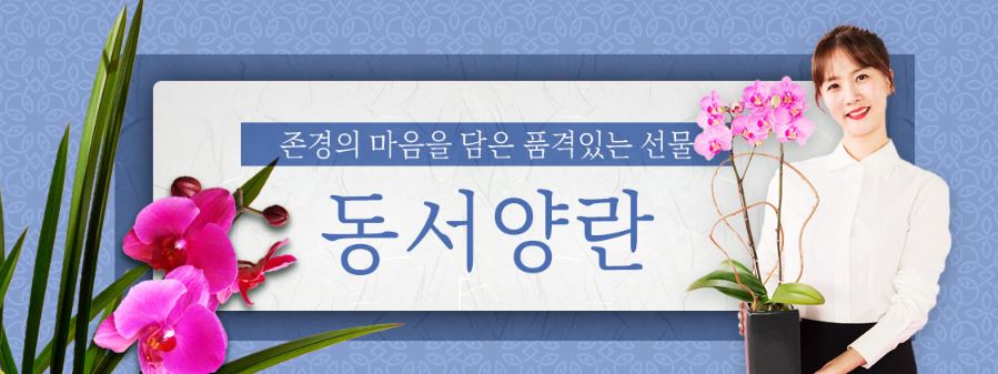 천사꽃플라워 이미지