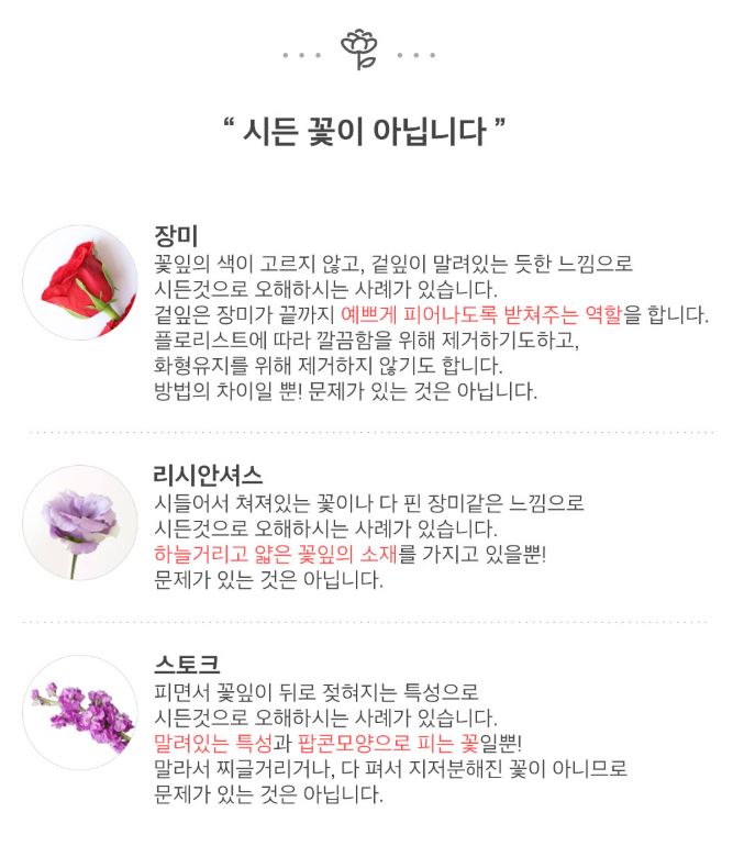 천사플라워 이미지