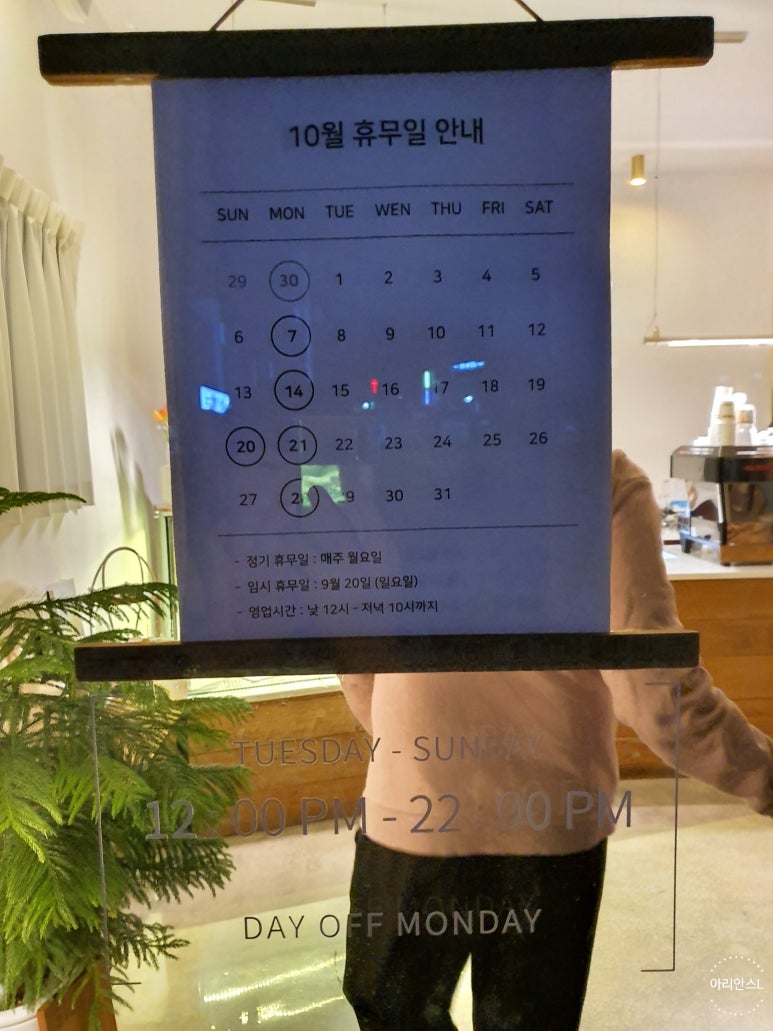 반비크 이미지