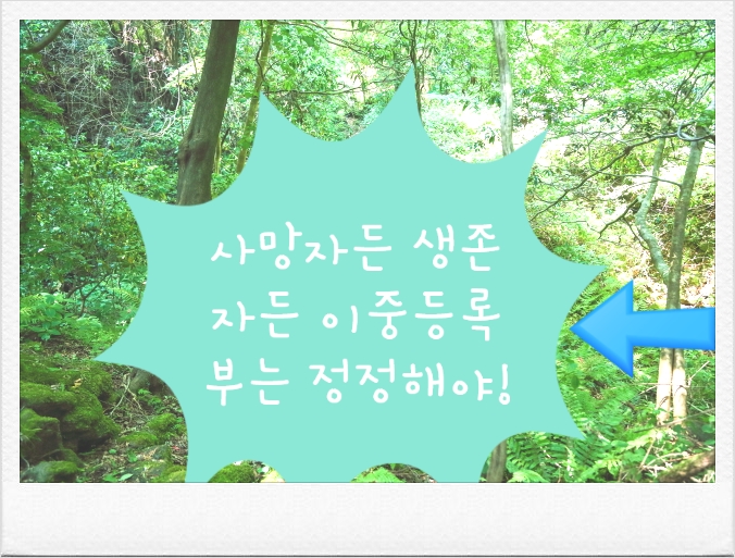 법무사김린경사무소 이미지