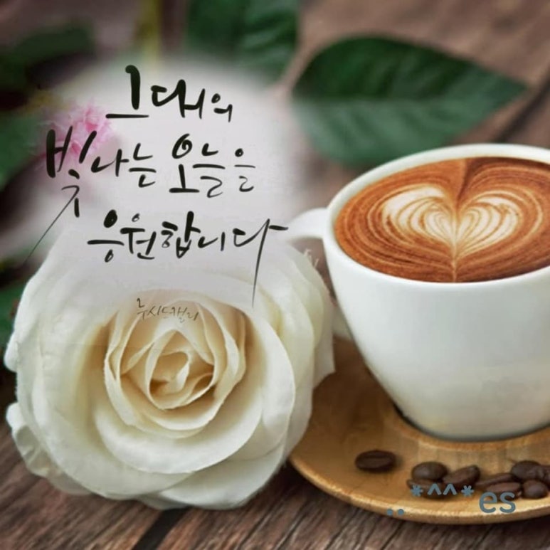 달빛커피 이미지