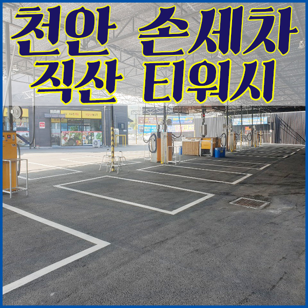 티워시손세차 이미지
