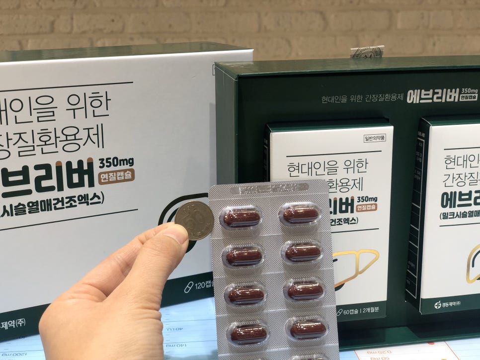 브리버 이미지