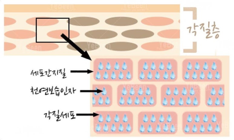이준영피부과 이미지