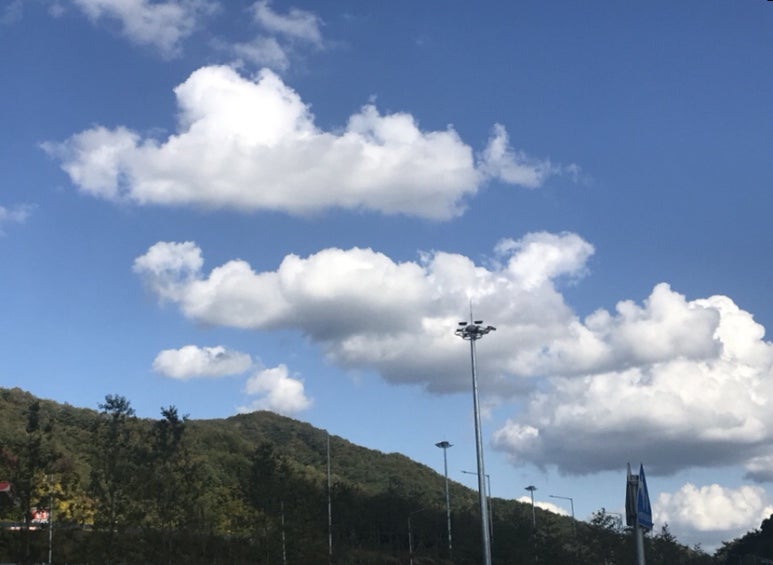 뽀기뽀기-서울방향 이미지