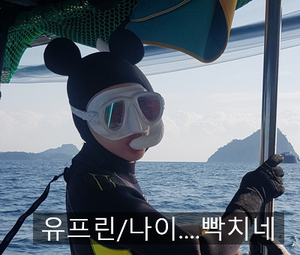 스플래시다이브센터 이미지