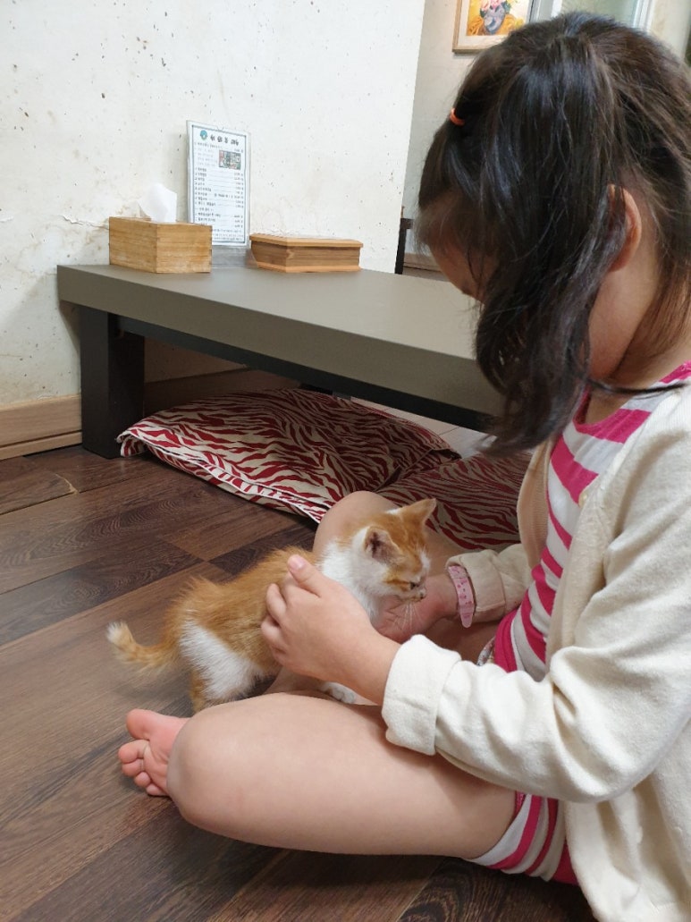 뉘뫼주 이미지