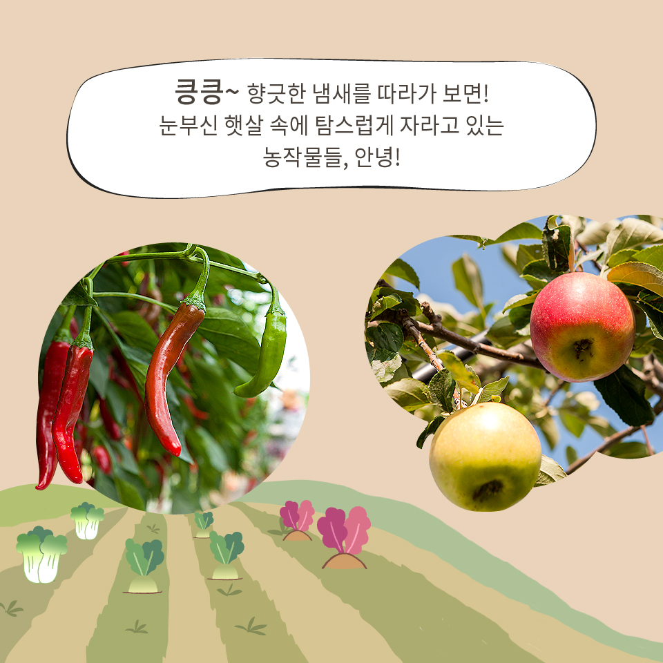 승곡체험마을 이미지