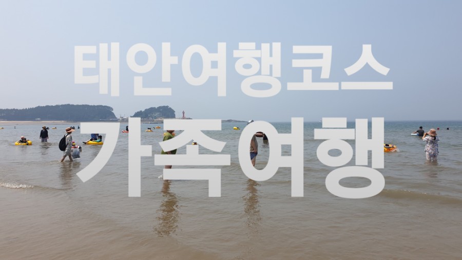 만리포카페중독 이미지