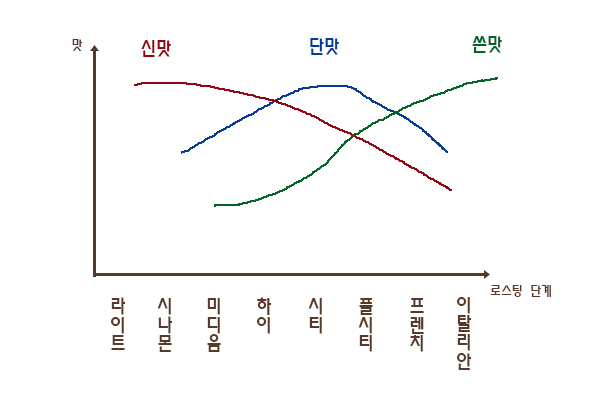 커피씨 이미지