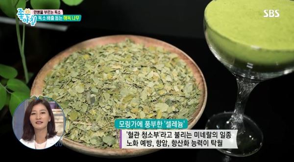 비움푸드 이미지