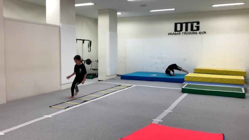 드래곤트릭킹짐 이미지