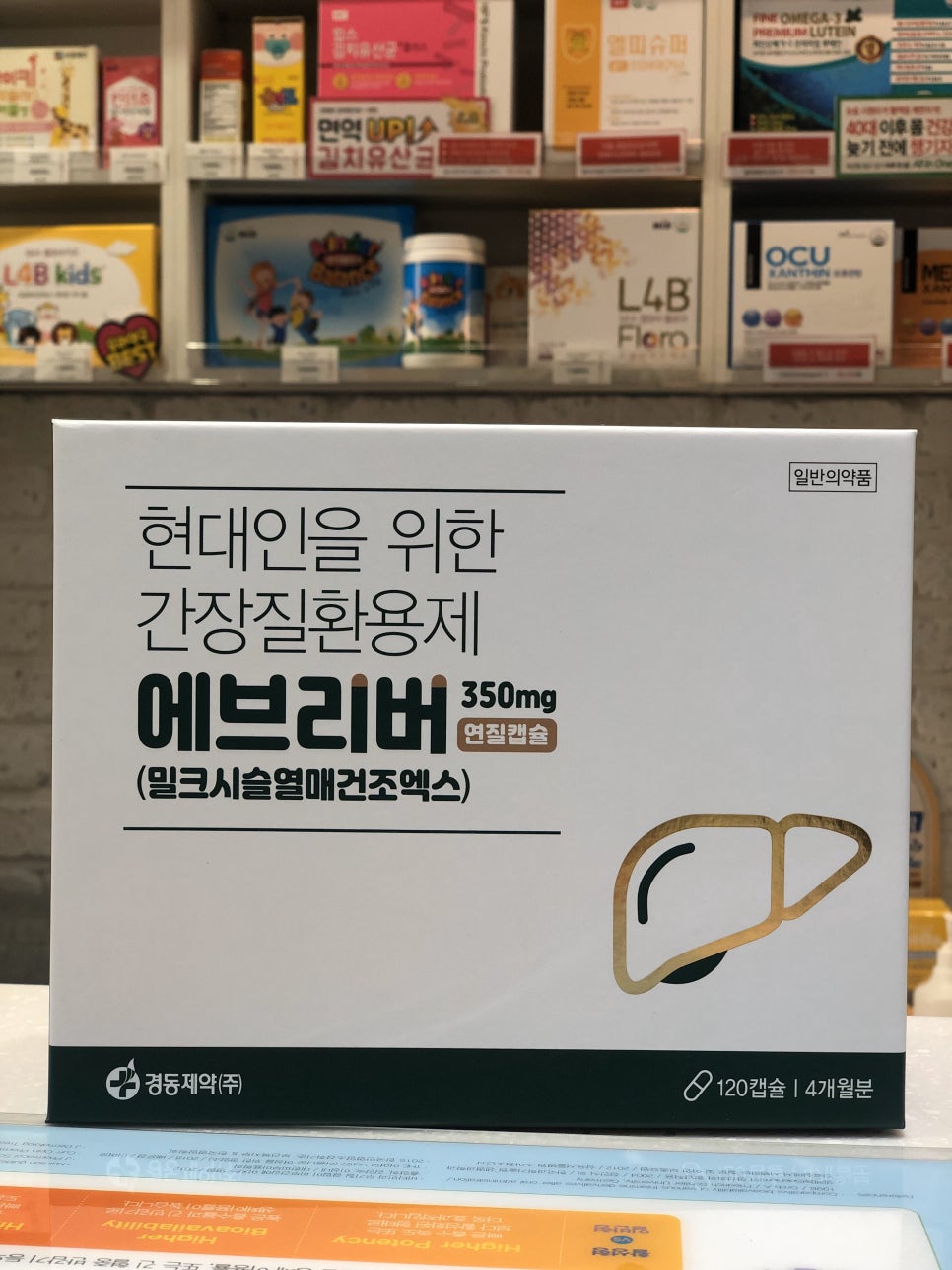 브리버 이미지