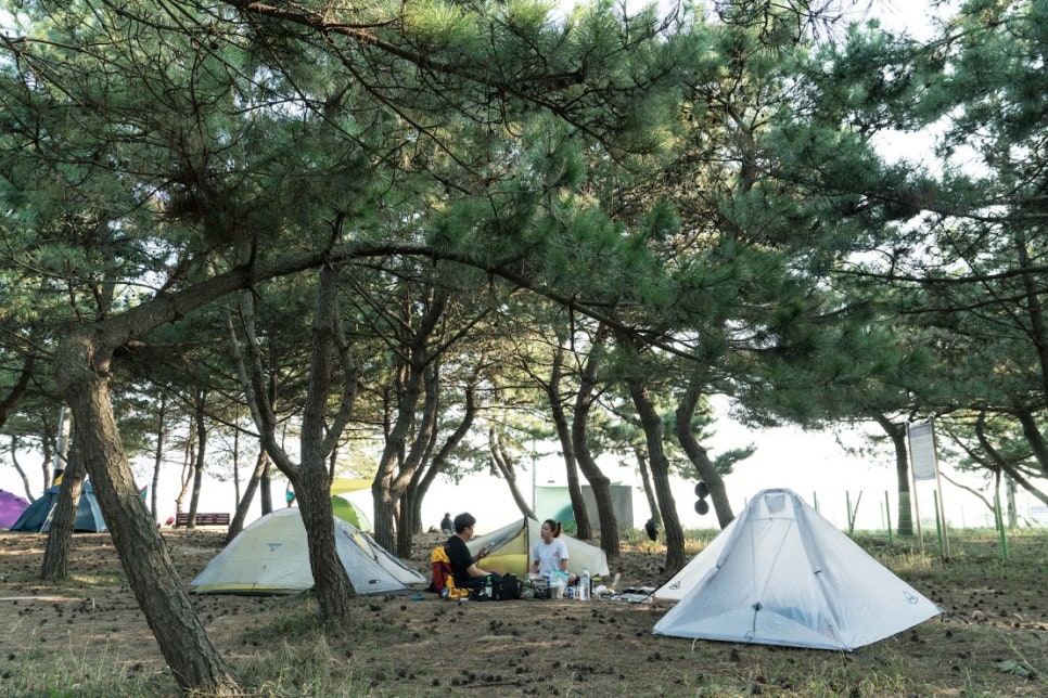 형제비니루 이미지