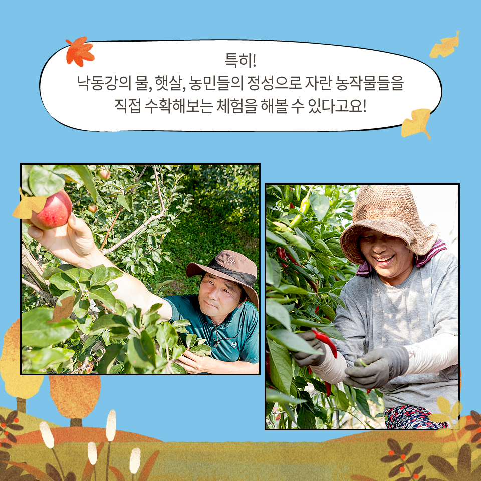 승곡체험마을 이미지