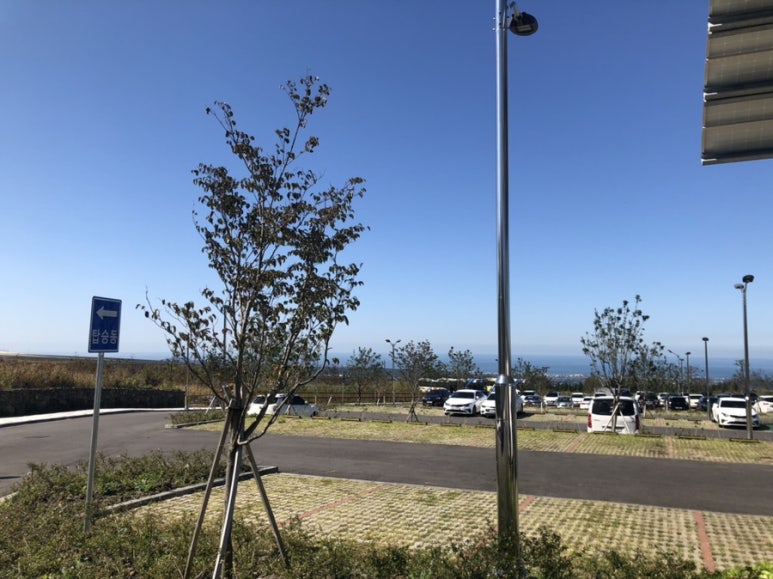 9.81 PARK JEJU 이미지