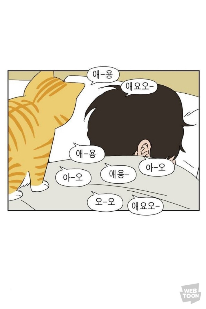 써니플로 이미지