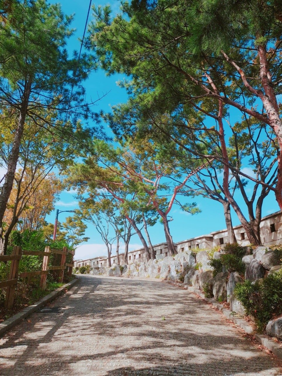 정돈까스 이미지