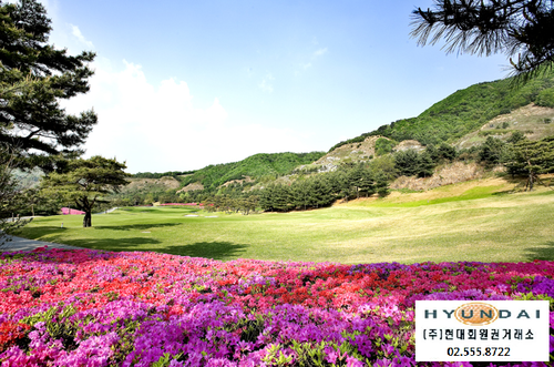 (주)태영레져 이미지