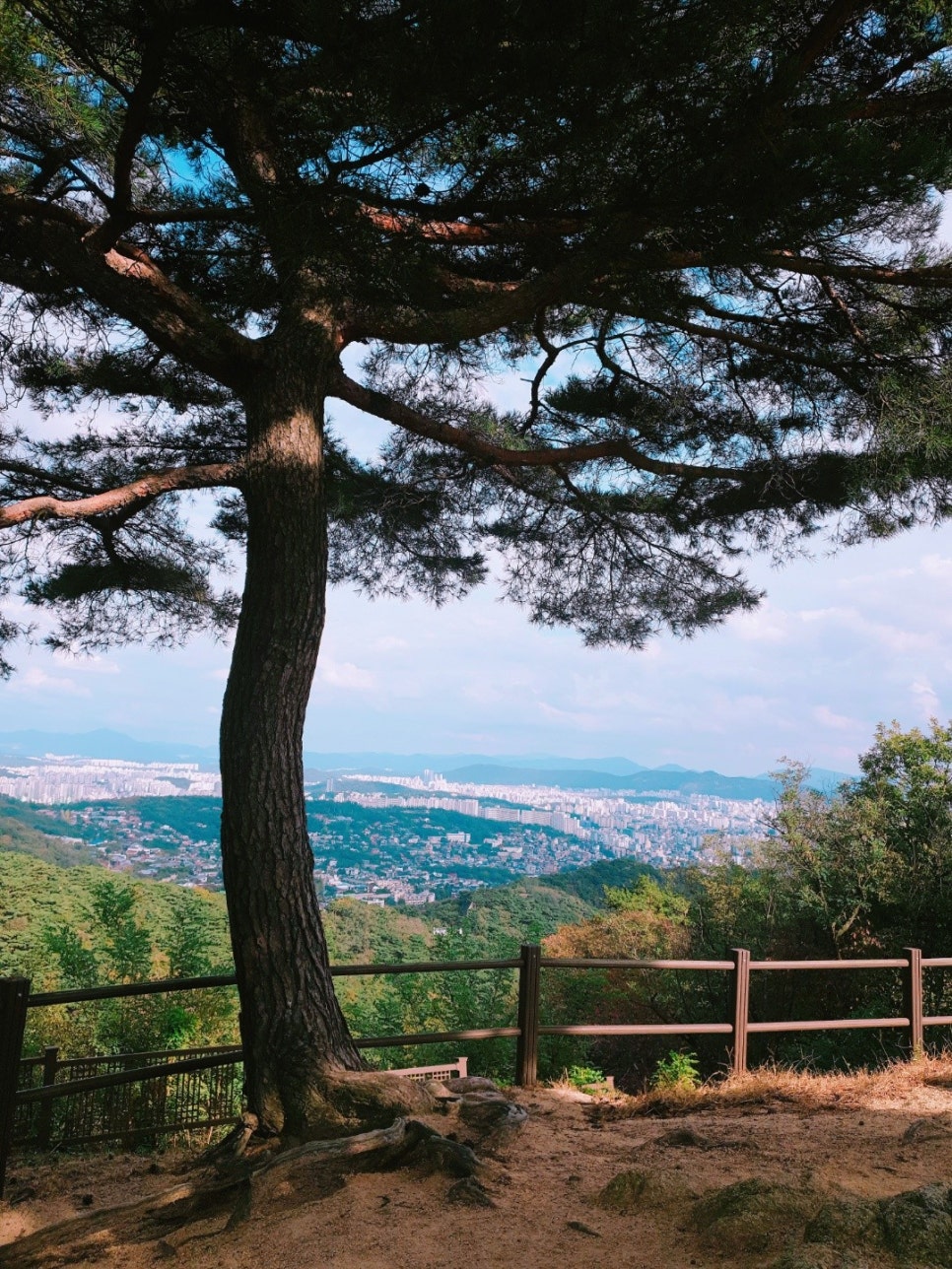 정돈까스 이미지