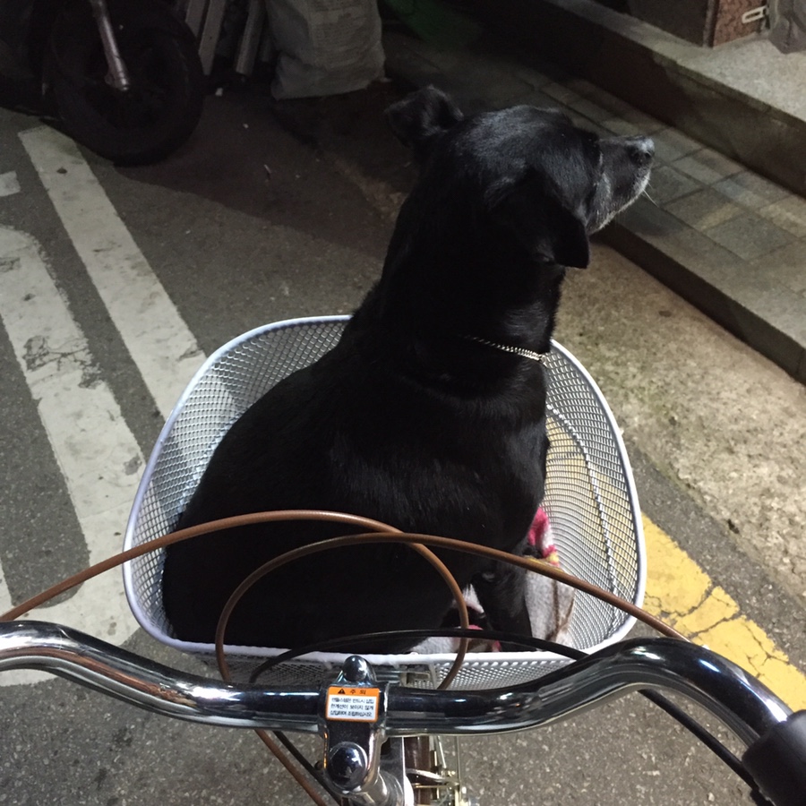 백영세탁소 이미지