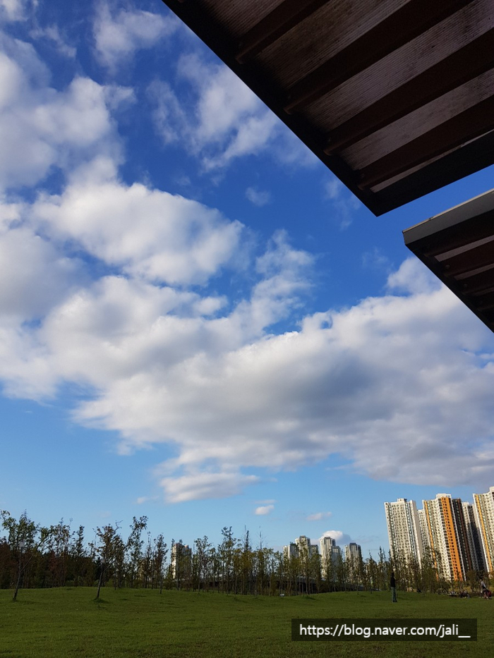 파파존스배곧점 이미지