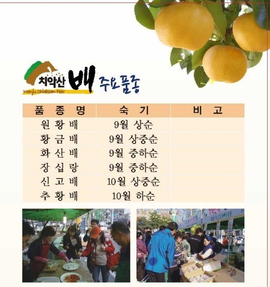 원주원예농협하나로클럽 이미지