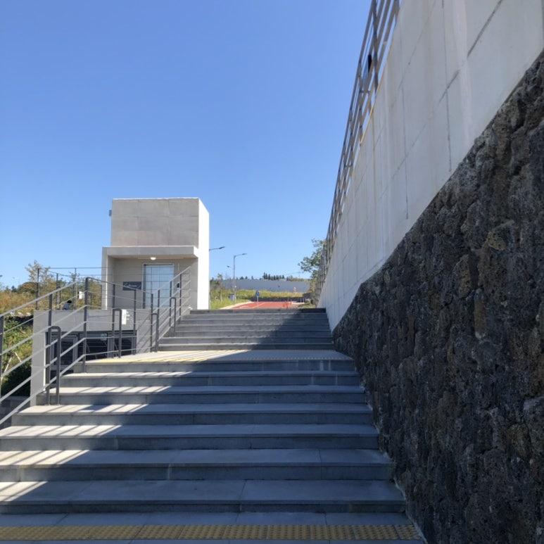9.81 PARK JEJU 이미지