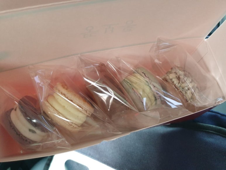 뚱보롱 이미지