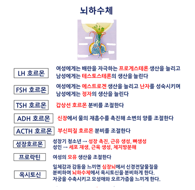 열린PT센터 이미지