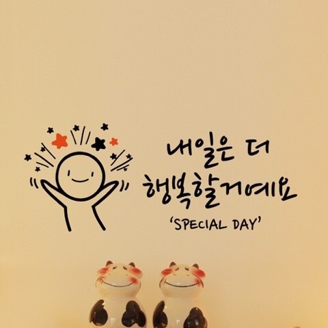 스타일피트 이미지