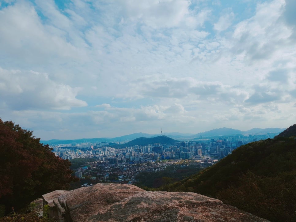 정돈까스 이미지
