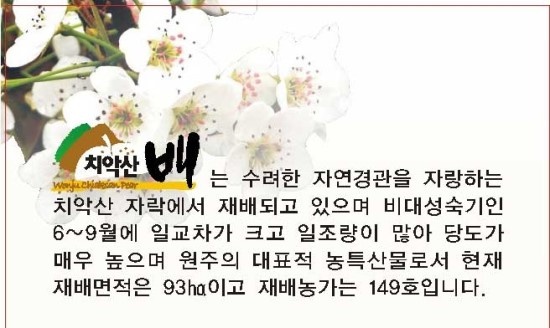 원주원예농협하나로클럽 이미지
