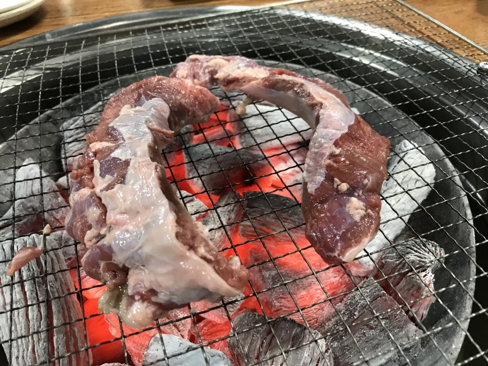 황소고집 이미지