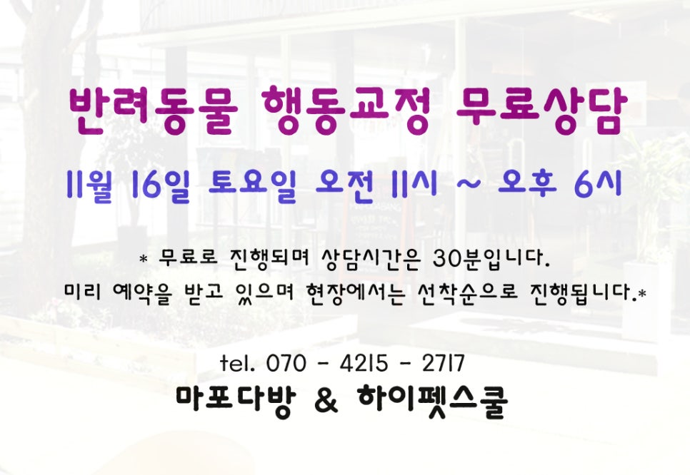 동물다방 이미지