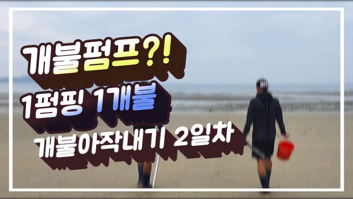 다뽀바 이미지