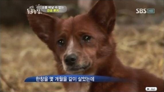 해피 이미지